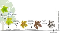 Stages of composting