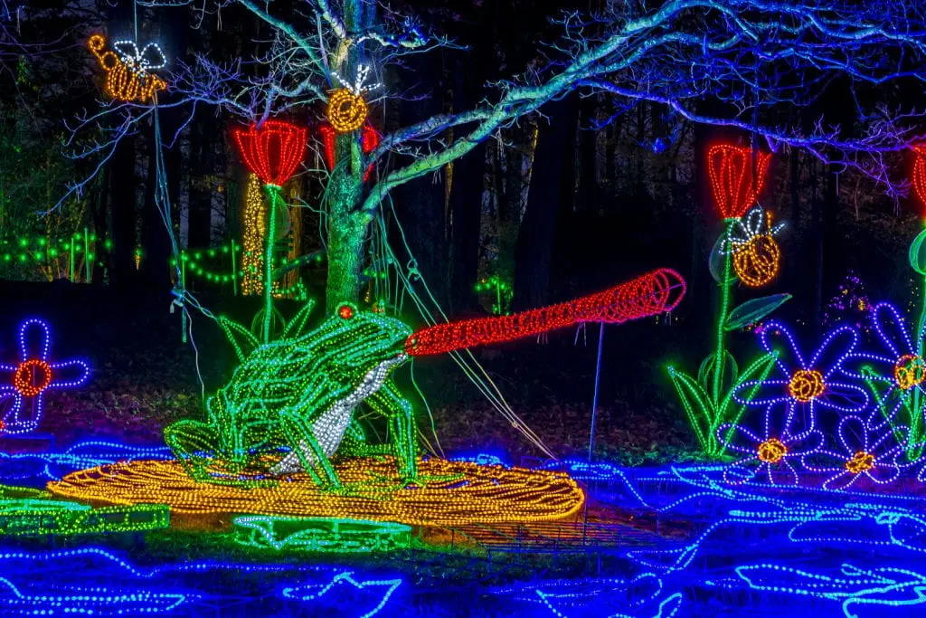 Holiday Lights at Garvan Woodland Gardens - Hot Springs, Arkansas