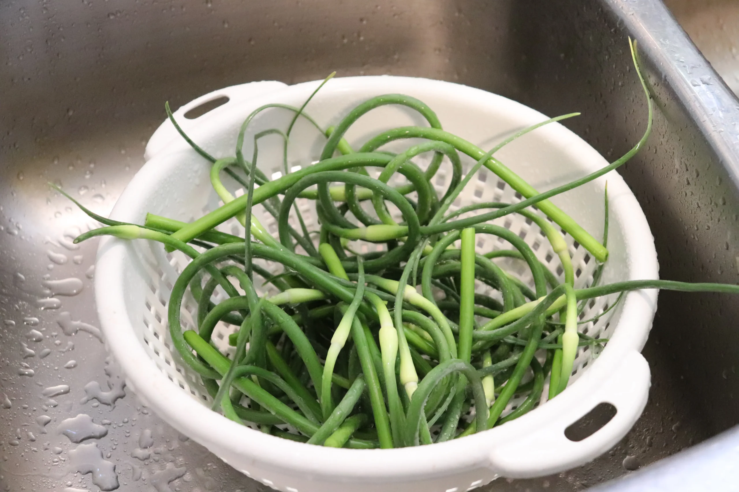 Green garlic being washed in a kitchen sink