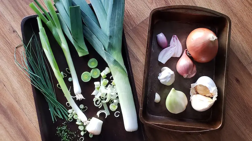 Comparison image showing green garlic, scallions, and green onions side by side