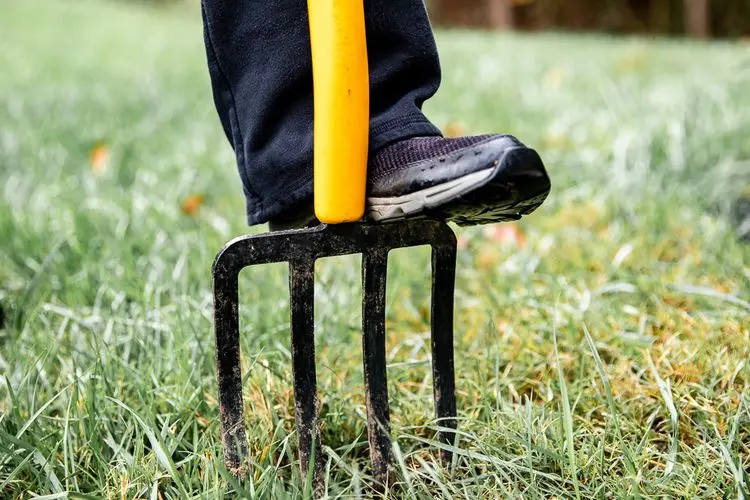 A person aerating their lawn