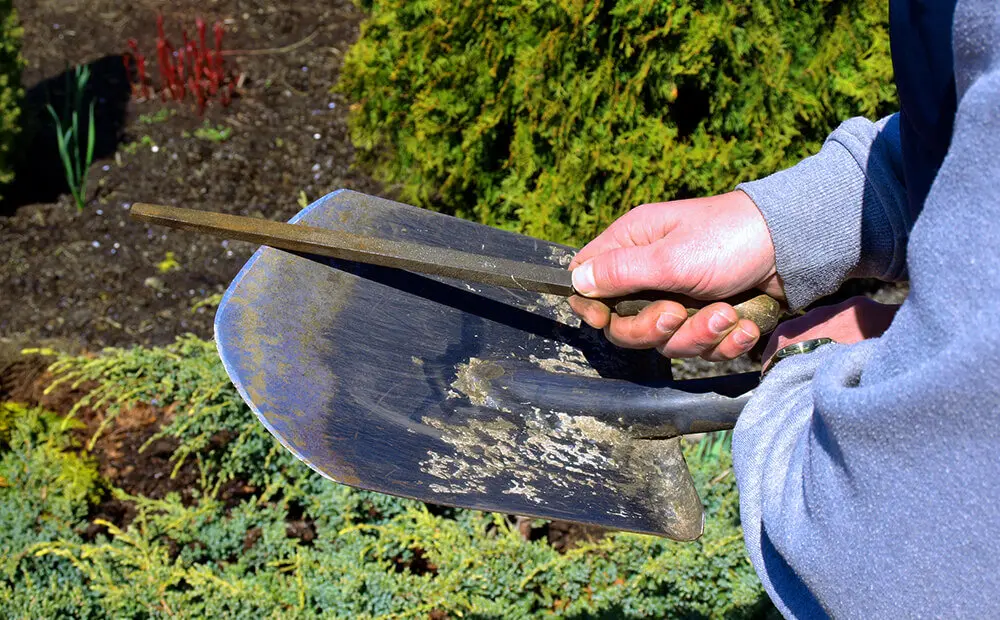 Clean and sharpen gardening tools