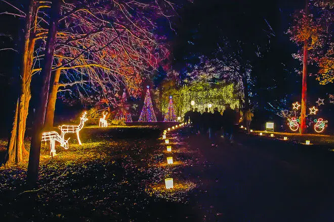 Galaxy of Lights at Huntsville Botanical Garden - Huntsville, Alabama