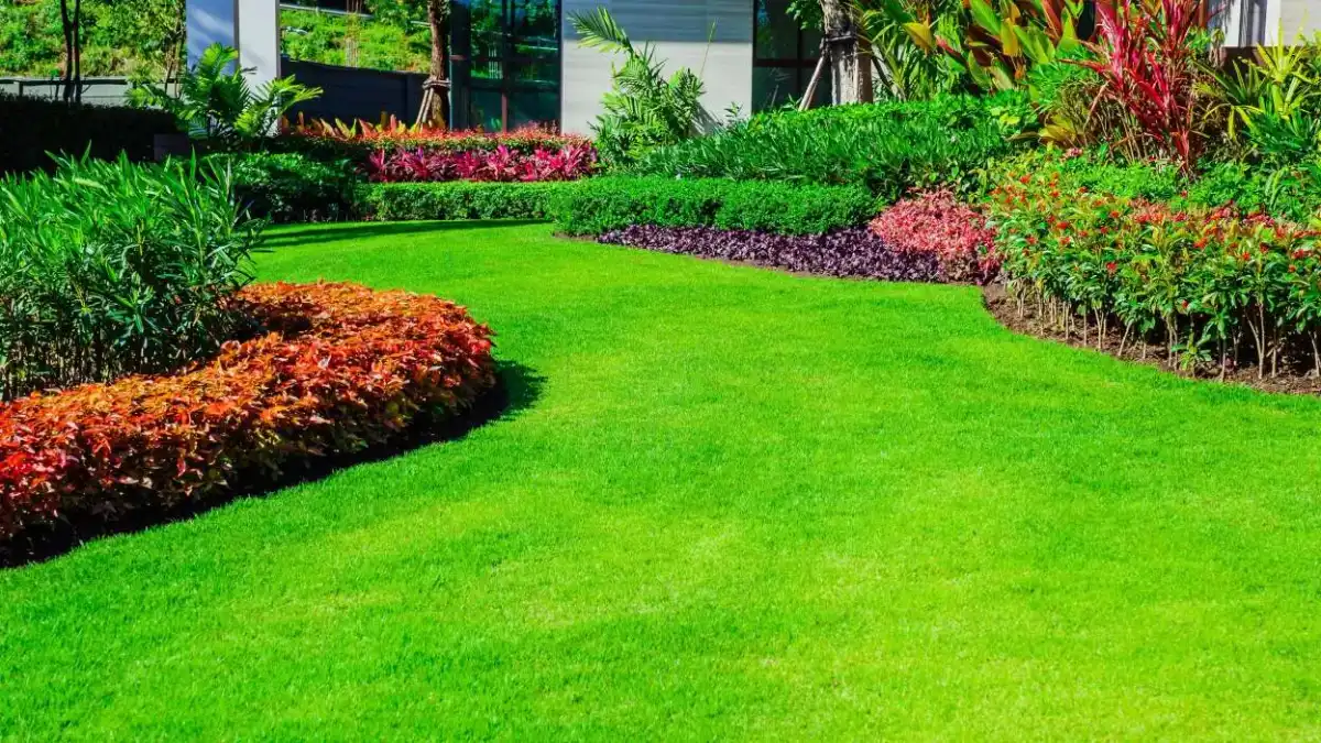 A beautiful, lush green lawn with no weeds in sight